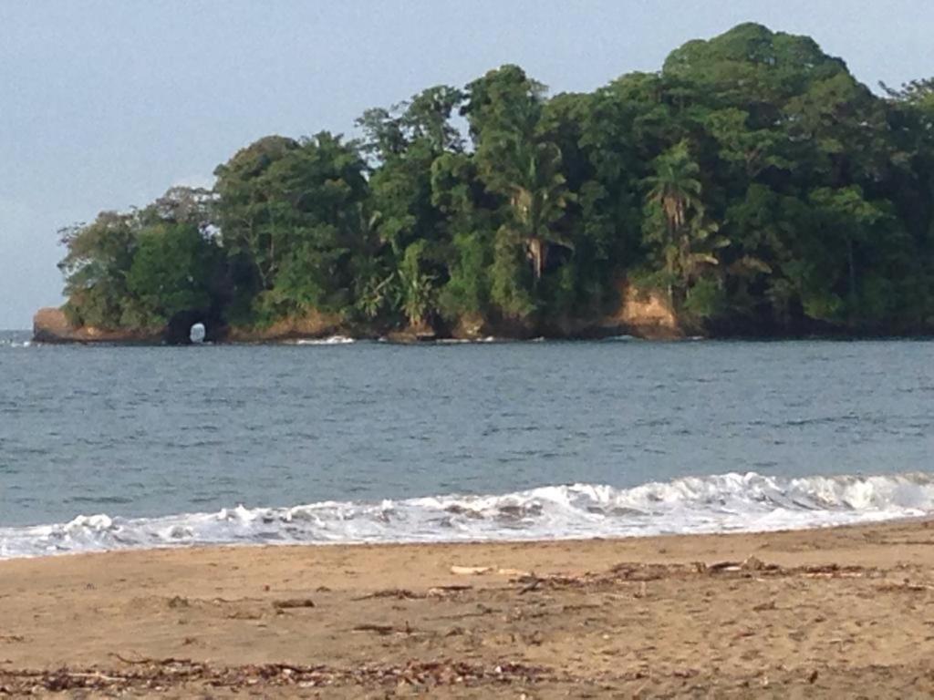 Hotel One Love Puerto Viejo Puerto Viejo de Talamanca ภายนอก รูปภาพ
