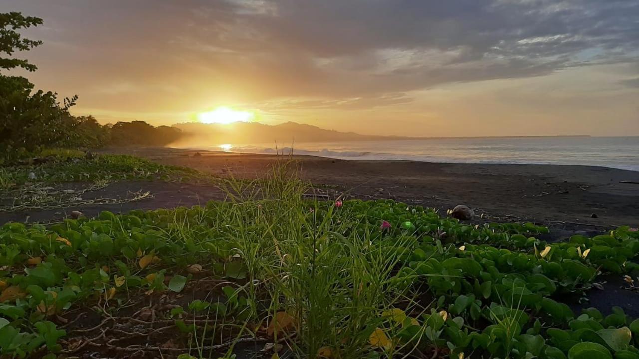 Hotel One Love Puerto Viejo Puerto Viejo de Talamanca ภายนอก รูปภาพ