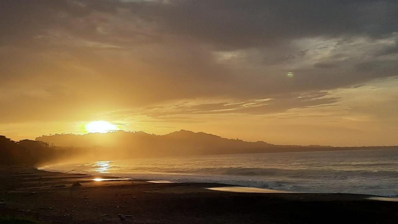 Hotel One Love Puerto Viejo Puerto Viejo de Talamanca ภายนอก รูปภาพ