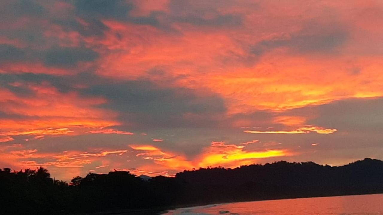 Hotel One Love Puerto Viejo Puerto Viejo de Talamanca ภายนอก รูปภาพ