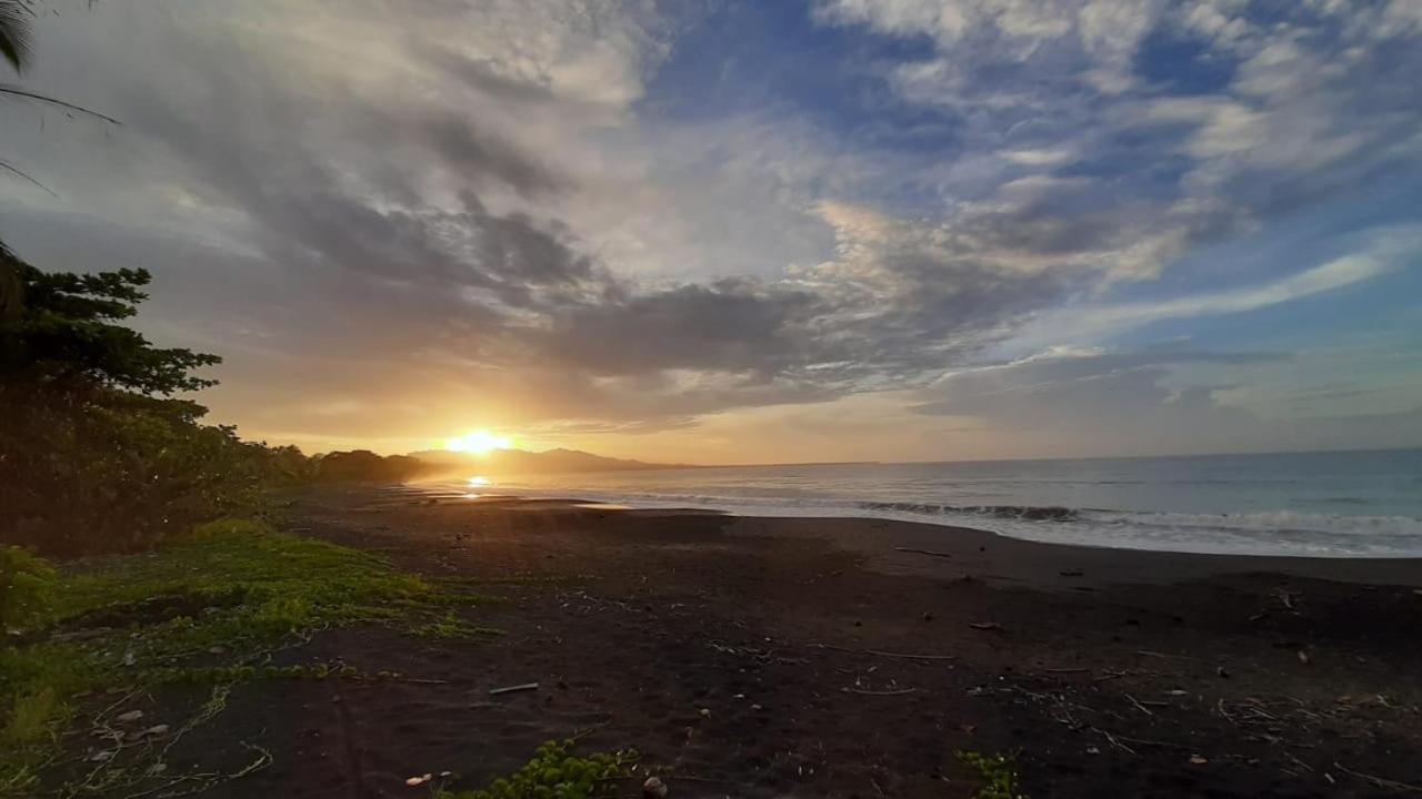 Hotel One Love Puerto Viejo Puerto Viejo de Talamanca ภายนอก รูปภาพ
