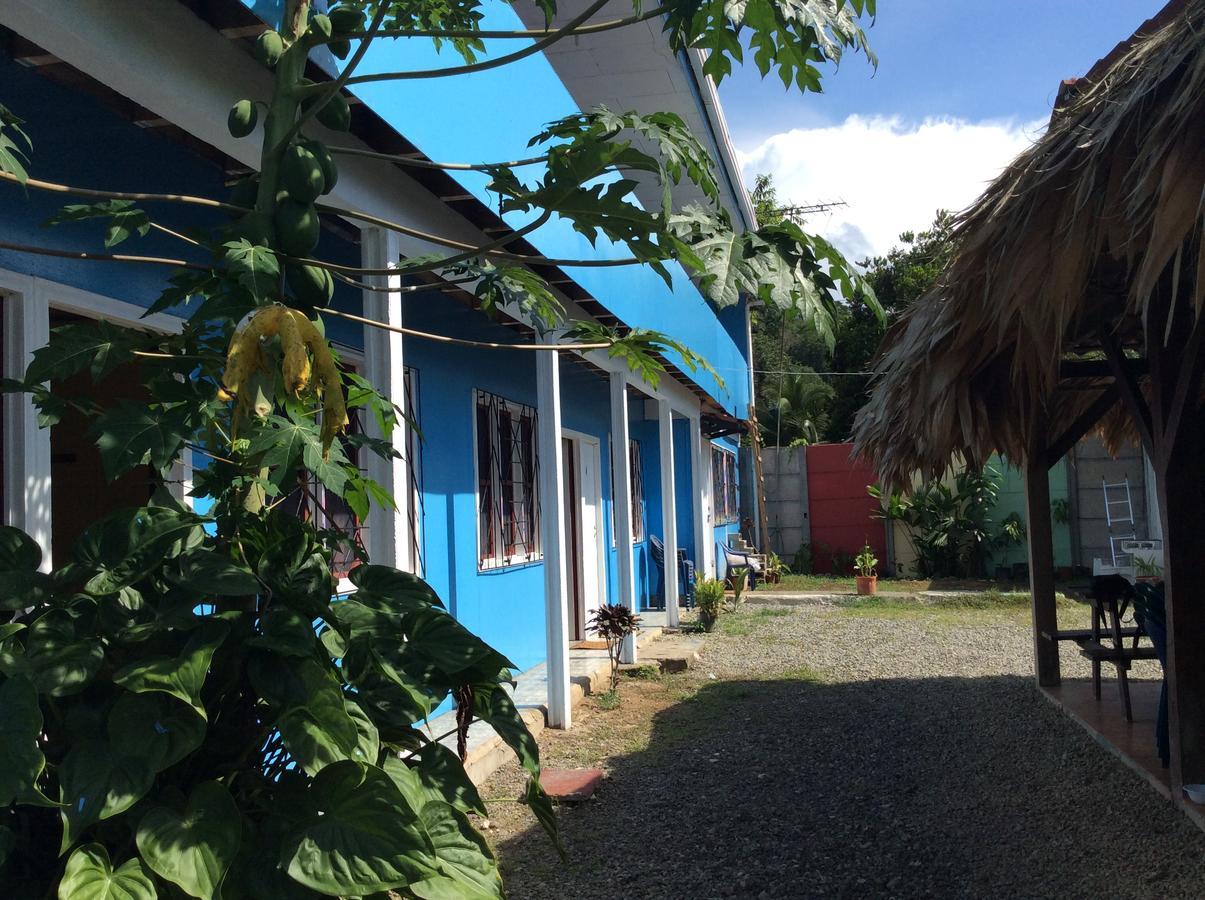 Hotel One Love Puerto Viejo Puerto Viejo de Talamanca ภายนอก รูปภาพ
